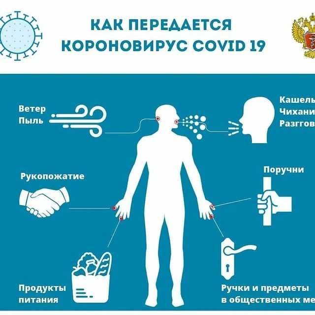 Коронавирусное заболевание (ковид-19): памятка для пациентов