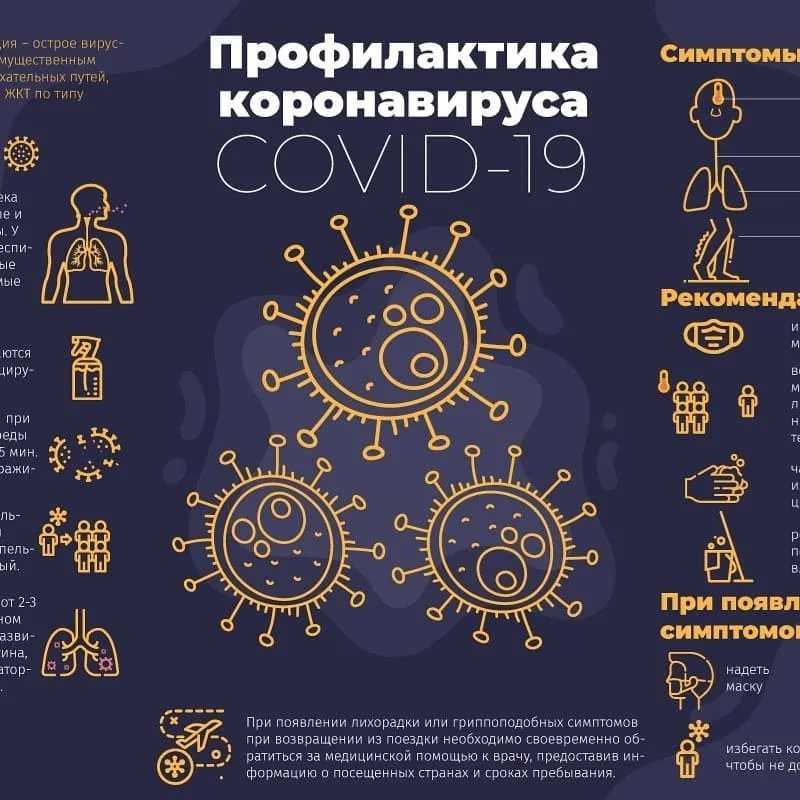 Профилактика коронавируса covid-19 – как не заболеть коронавирусом