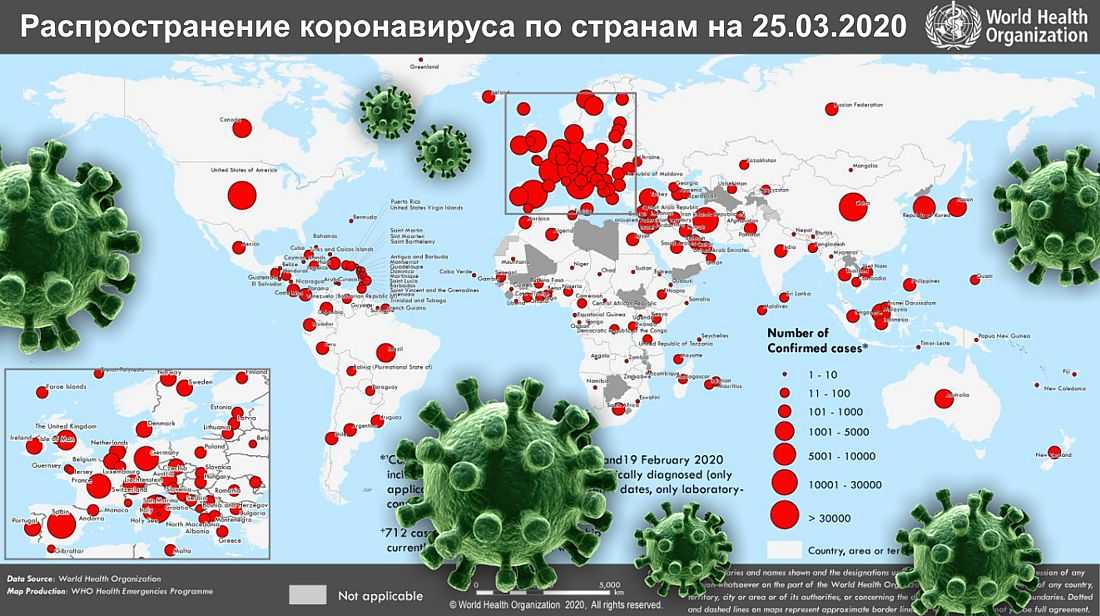 Коронавирус в псковской области на 13 октября 2021 года: сколько заболевших и умерших на сегодня — коронавирус