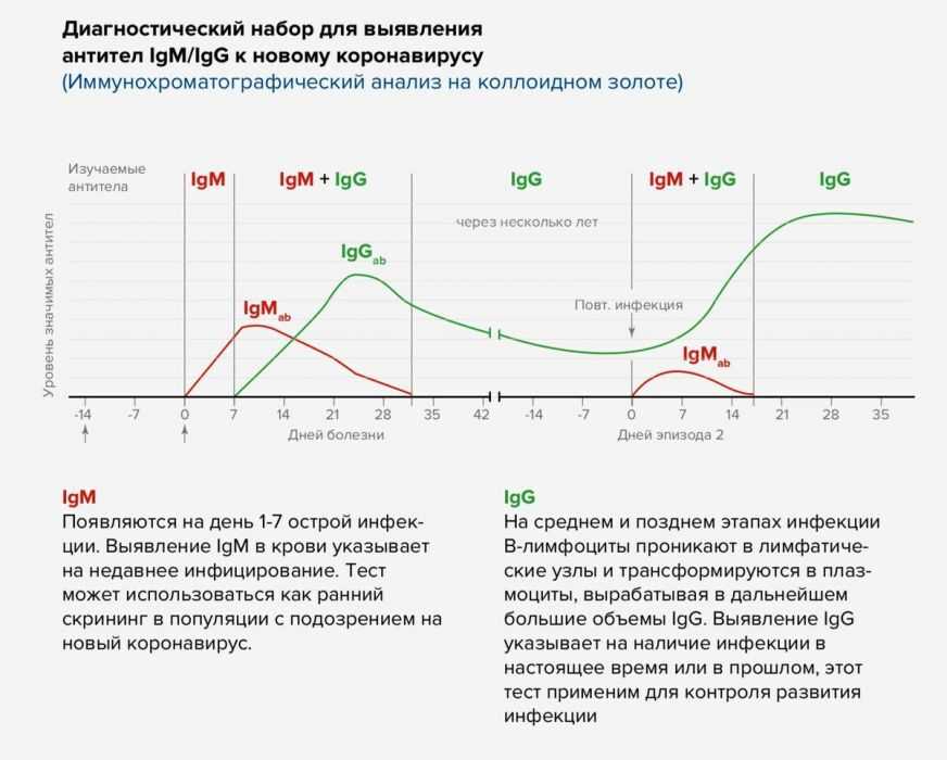 Коронавирус - онлайн карта распространения и статистика коронавируса в россии и мире