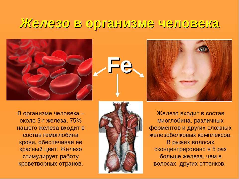 Для чего нужны железы в организме. Железо функции в организме. Арго железо. Железо роль в организме человека. Роль железа для человека.