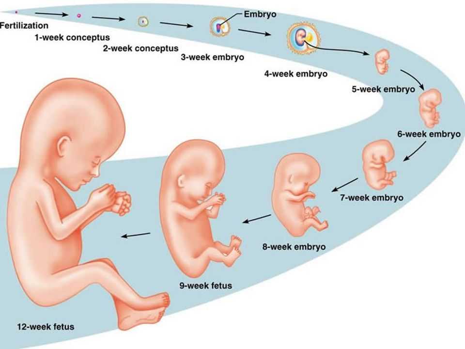Кашель у беременных: причины, риски, рекомендации по лечению и профилактика