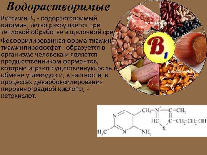 Что входит в витамин б. Водорастворимый витамин b1 функции. Водорастворимые витамины в 13.
