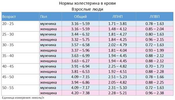 Норма холестерина у мужчин по возрасту, таблица нормального уровня содержания