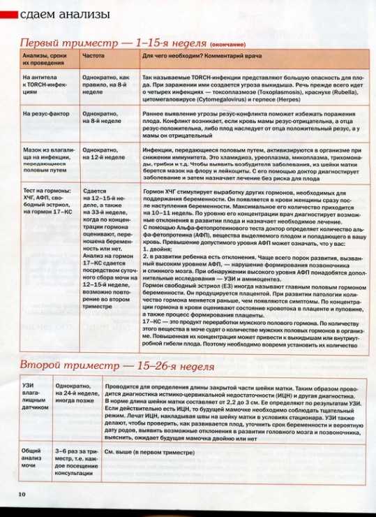 Как гинеколог определяет срок беременности? arimed.ru