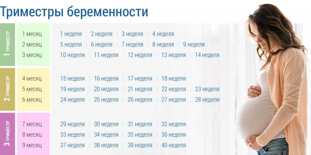 5 неделя беременности – что происходит, ощущения, признаки и симптомы беременности на пятой неделе, выделения - agulife.ru