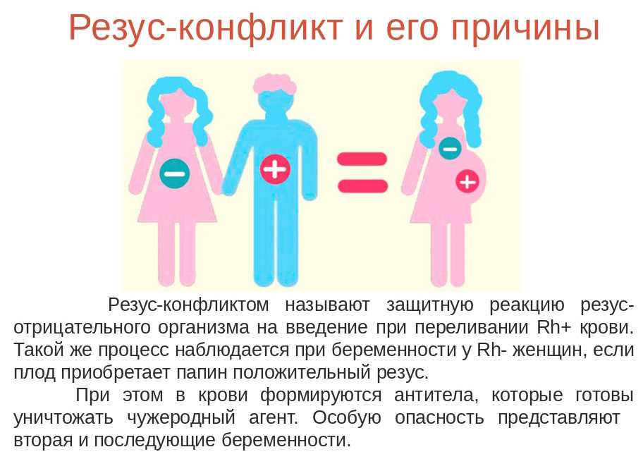 Патологии беременности. сохранение беременности.
