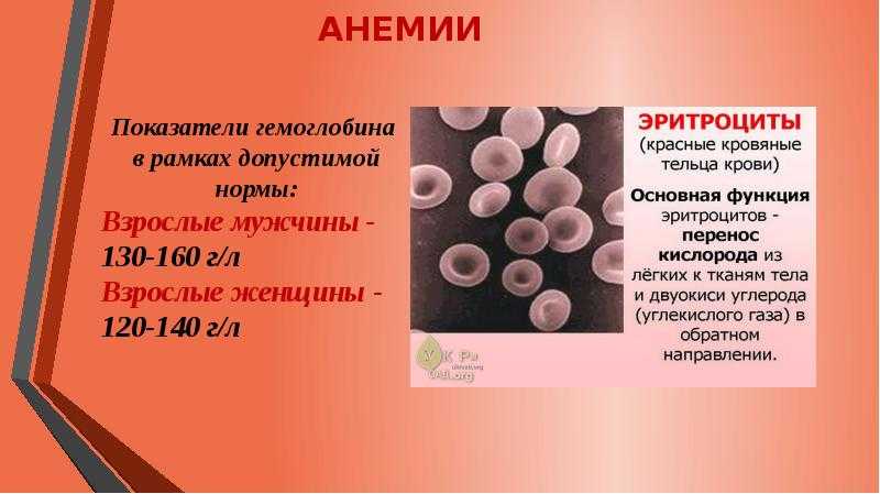 Низкий гемоглобин у мужчин причины и последствия. Сестринский процесс при анемии. Уход за больным с анемией. План ухода при железодефицитной анемии.