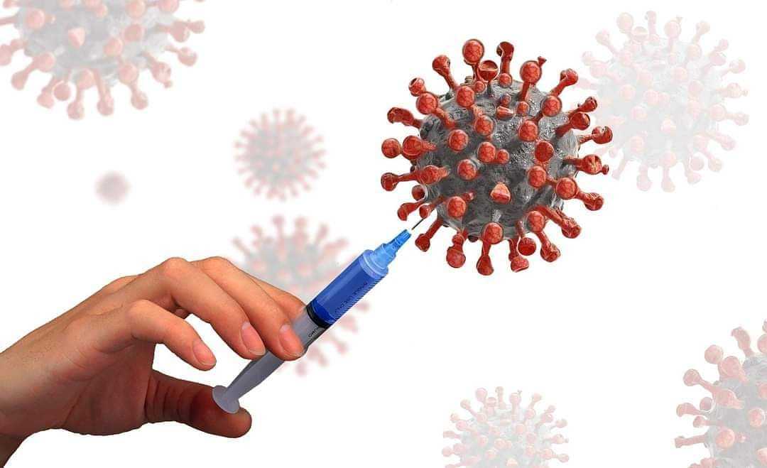 «будет лютовать ужасная хворь»: ванга предсказала пандемию коронавируса