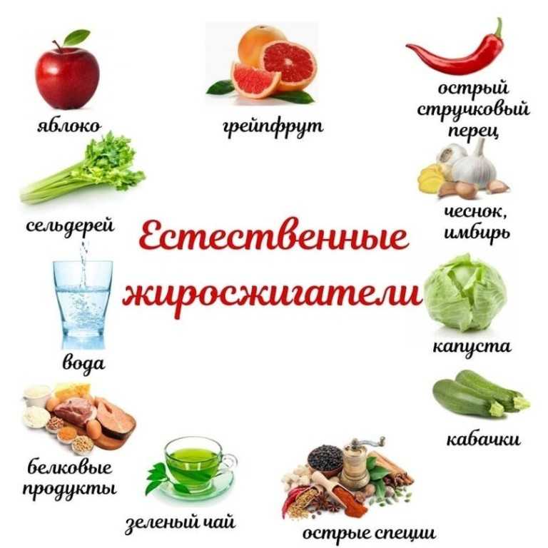 Список продуктов для правильного питания для похудения
