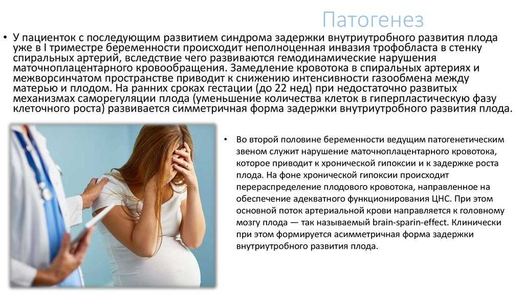 Торможение роста плода - iugr (задержка внутриутробного развития) | аборт в спб
