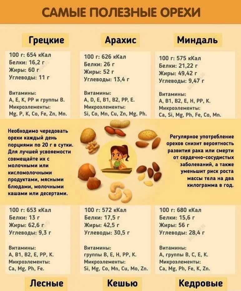 ᐉ какие орехи надо есть беременным. полезные и вредные орехи для беременных - ➡ sp-kupavna.ru
