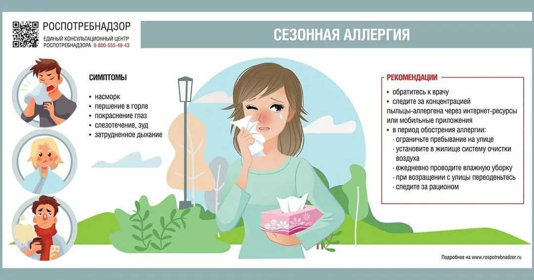 Сезонная аллергия у взрослых - симптомы, причины, профилактика и лечение