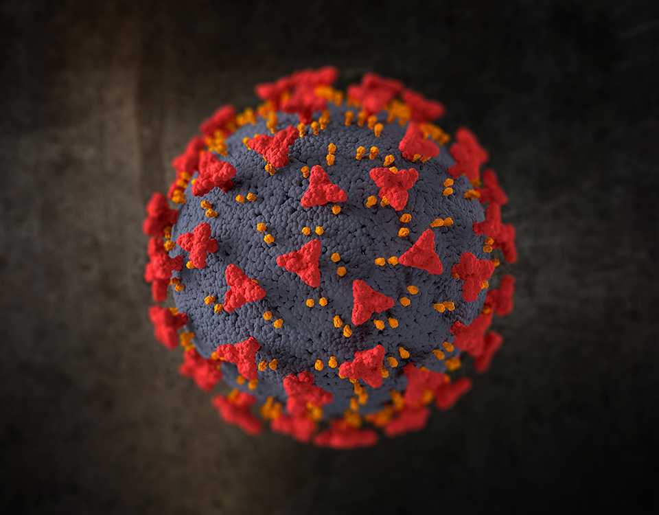 «британский» штамм коронавируса не повлияет на продолжительность пандемии