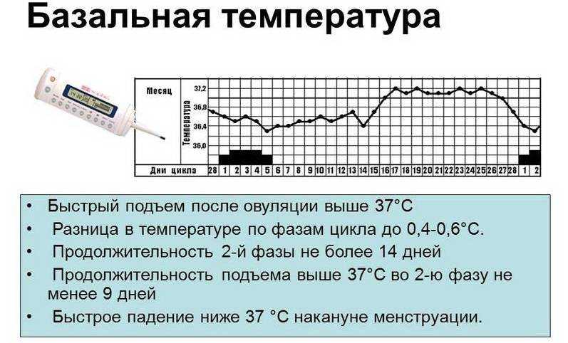 Что такое базальная (ректальная) температура? измерение ректальной температуры