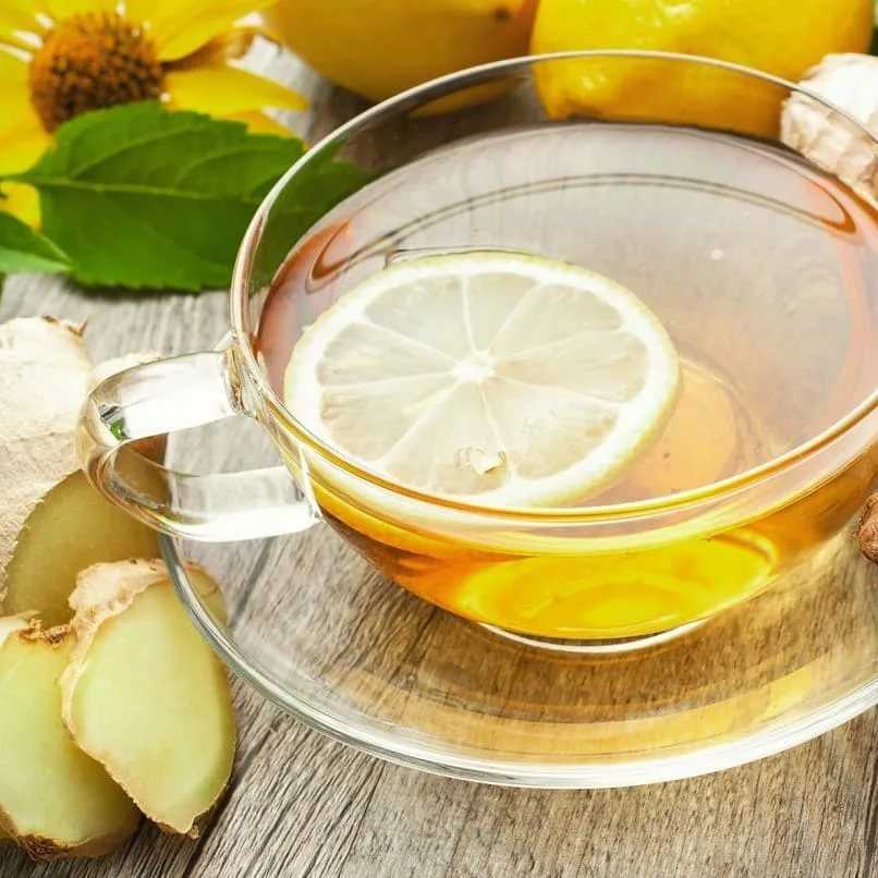 Напиток из имбиря и лимона: польза, противопоказания, рецепты