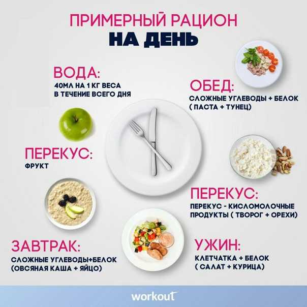 Правильный режим питания: сколько раз в день нужно есть?