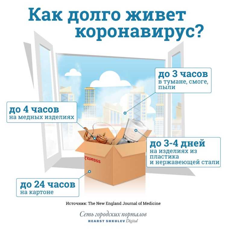 Как долго сохраняются антитела к коронавирусу после заражения?