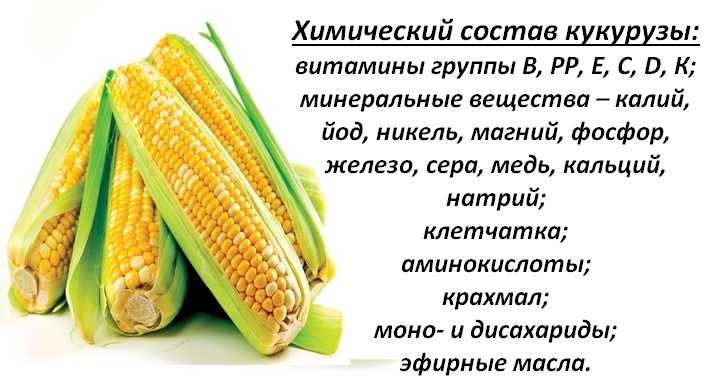 Калорийность кукуруза. химический состав и пищевая ценность.