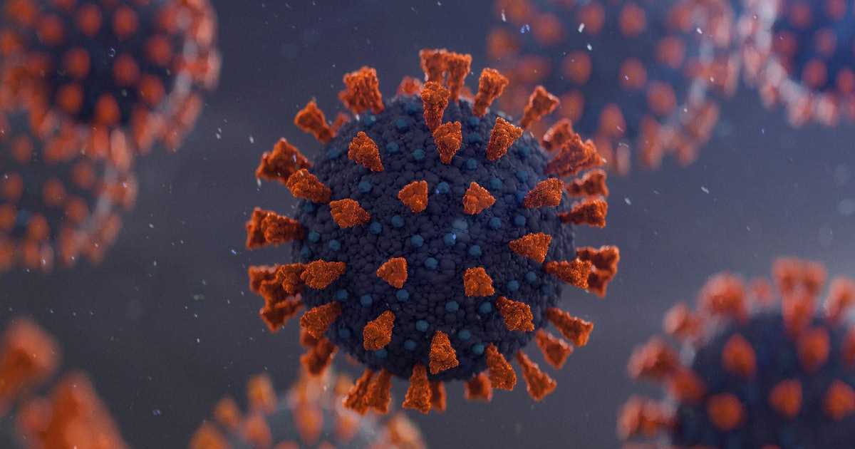 Новый штамм коронавируса в британии — насколько и чем опасен — последние новости / нв