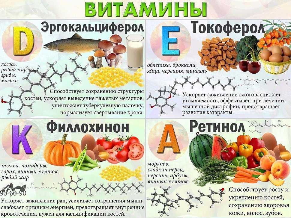 Откуда берутся витамины и как их производят - vechnayamolodost.ru