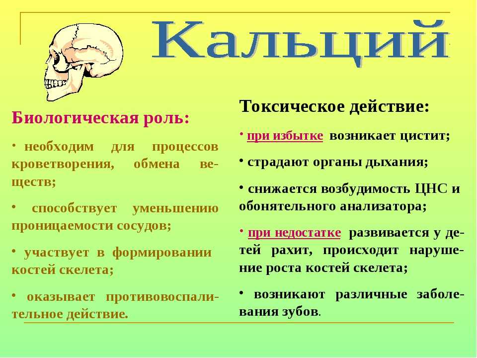 Презентация на тему роль кальция в организме человека