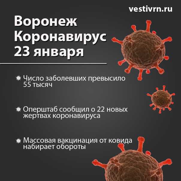Что такое иммуноферментные анализаторы – новость о коронавирусе COVID-19 в России и мире