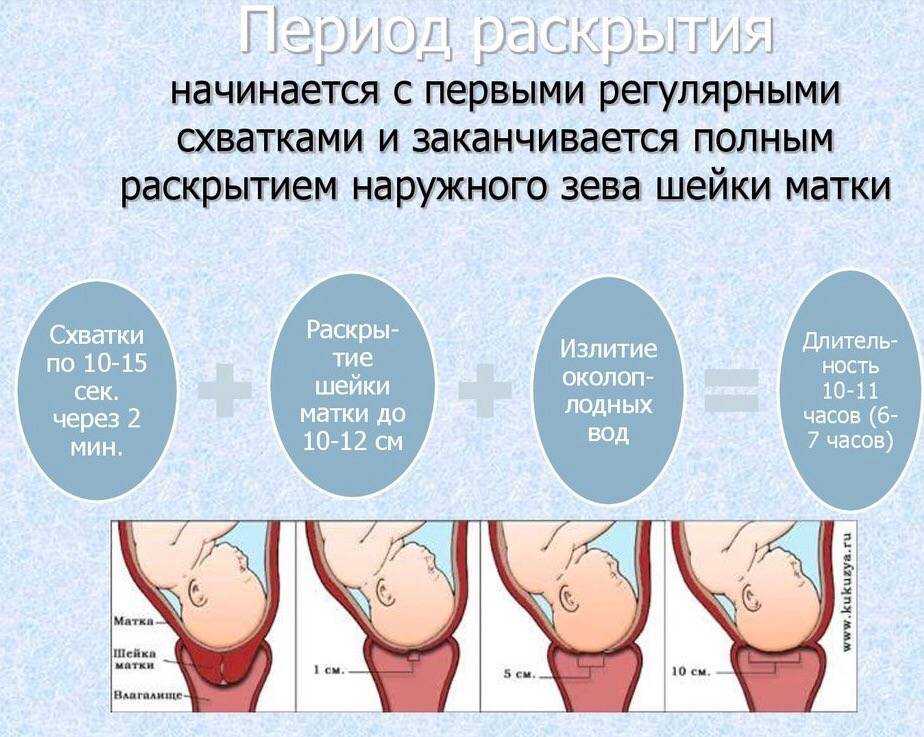 39 неделя беременности: болит и тянет живот, предвестники родов