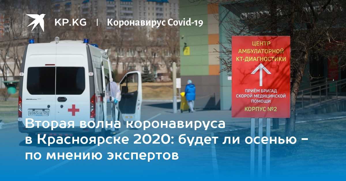 Будет ли вторая волна коронавируса осенью 2020 в россии: прогнозы и мнения