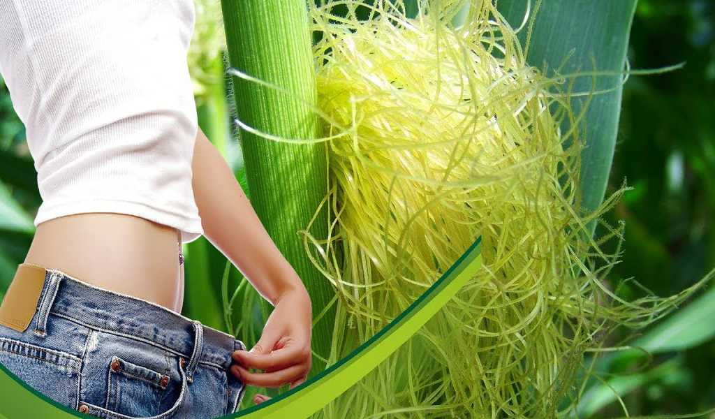 Кукурузные рыльца: полезные свойства и инструкция по применению