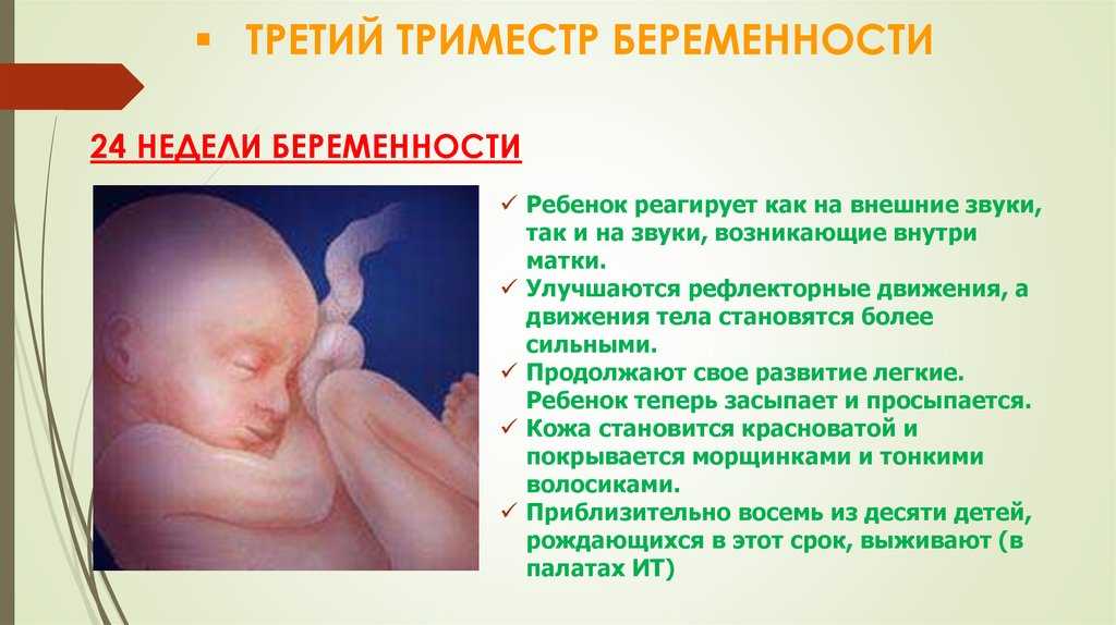 5 неделя беременности: развитие плода | pampers россия
