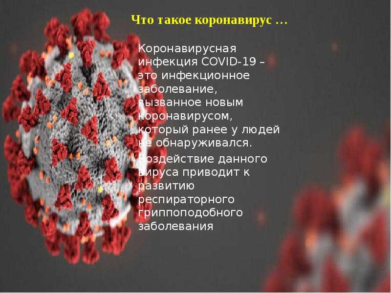 Антитела не дадут 100% защиты от covid-19. вирусологи объяснили, почему это нормально | коронавирус covid–19: официальная информация о коронавирусе в россии на портале – стопкоронавирус.рф