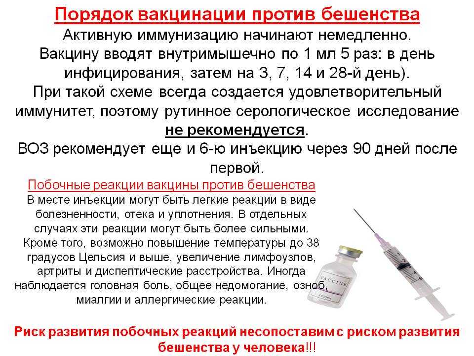 Первые, новые, свои: какую из российских вакцин от covid-19 выбрать | коронавирус covid–19: официальная информация о коронавирусе в россии на портале – стопкоронавирус.рф