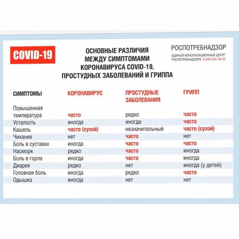 Роспотребнадзор перечислил 6 категорий людей, которым нельзя делать прививки от COVID-19 – новость о коронавирусе COVID-19 в России и мире