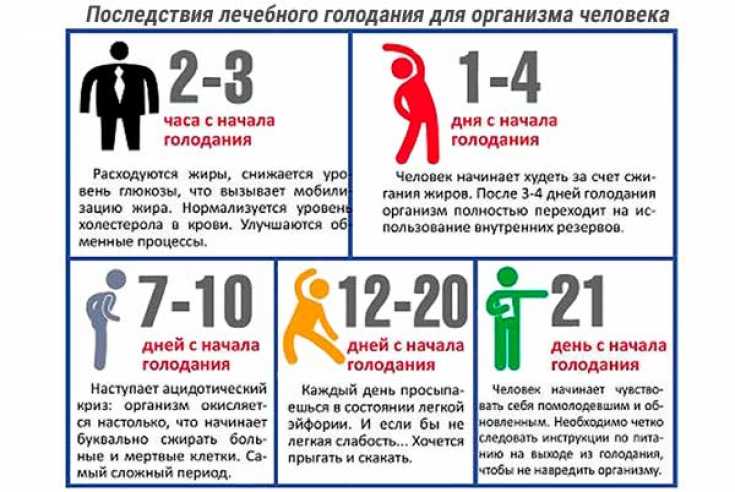 Лечебное голодание. направления