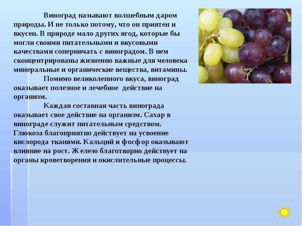 Виноград зеленый польза. Виноград при запоре. Виноград является слабительным. Полезные вещества в винограде. На что крепить виноград.
