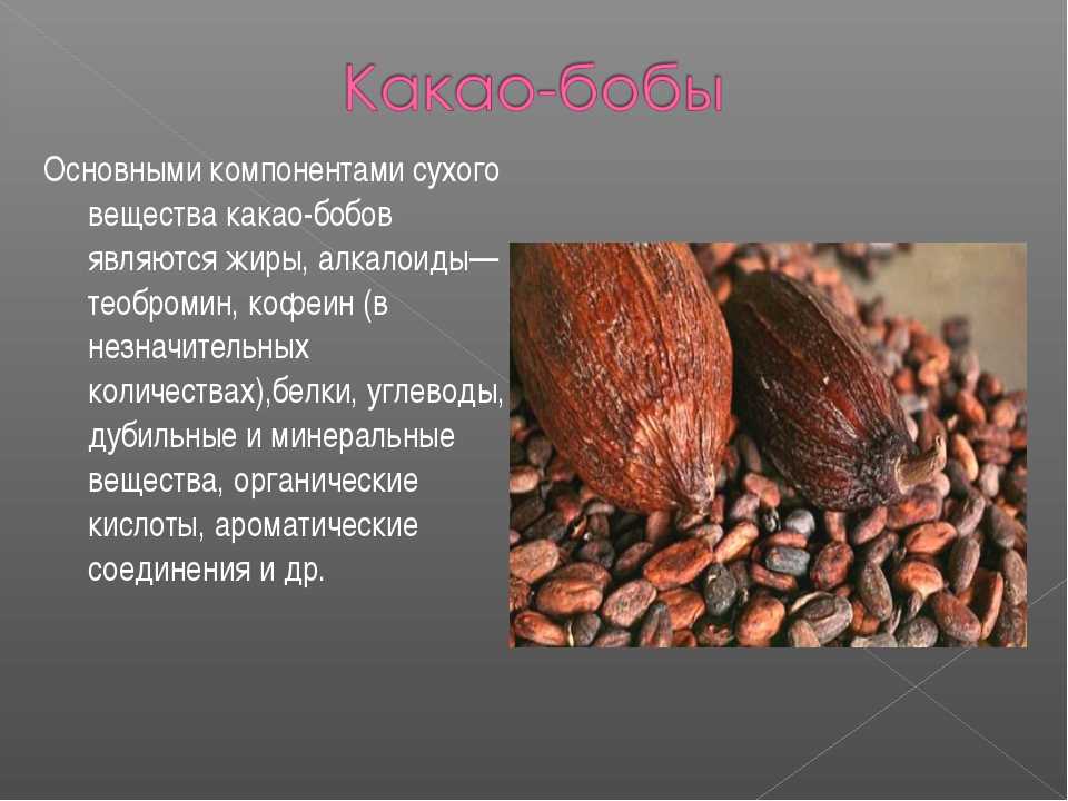 Сладкий какао как правильно. Шоколадное дерево теоброма какао. Семена какао. Семена шоколадного дерева. Плоды какао дерева.