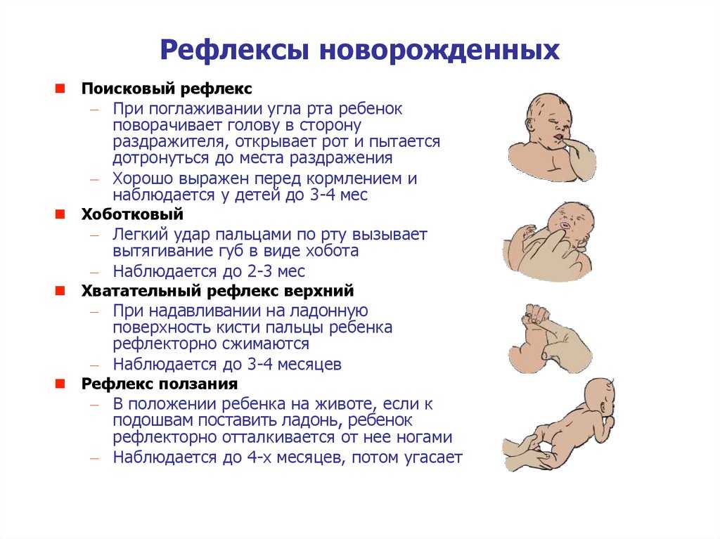 Сквозь прорези зрачков лишь обои