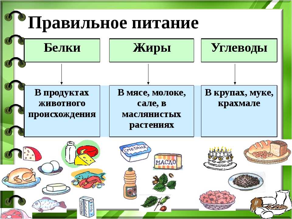 Рецепты каш для ребенка 1,5 года: самые полезные крупы по доктору комаровскому. как заставить ребенка 1.5 года есть кашу: эффективные способы — женские истории