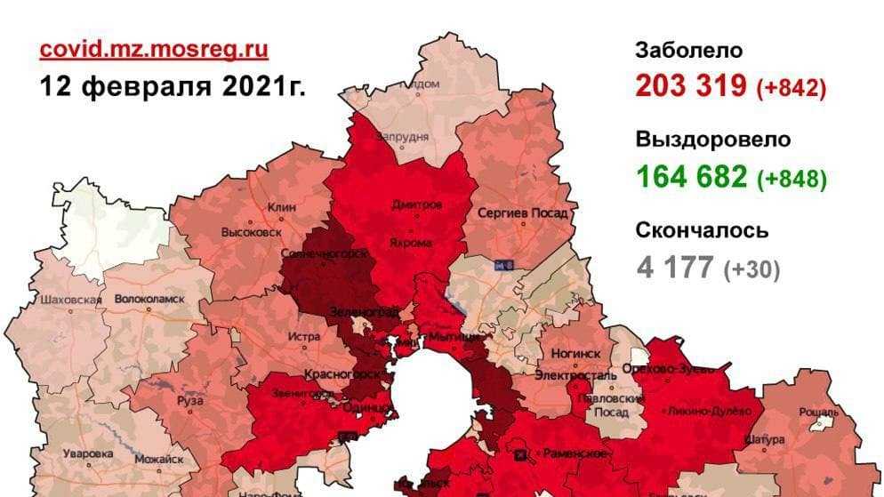 Коронавирус в ленинградской области на 6 июля 2020 года — коронавирус