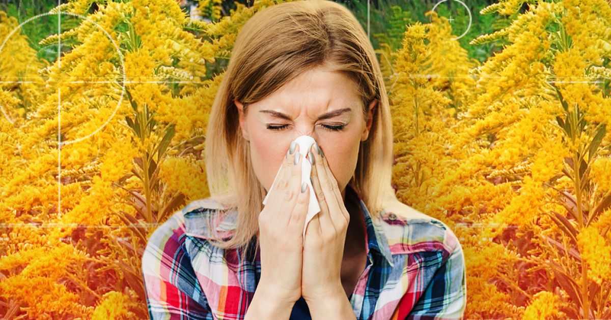Осенняя аллергия: в чем особенности
