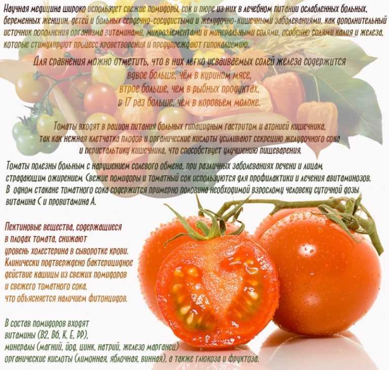 Съедая помидоры при беременности, будущие мамы часто задумываются о полезности или вреде этого овоща в их положении.