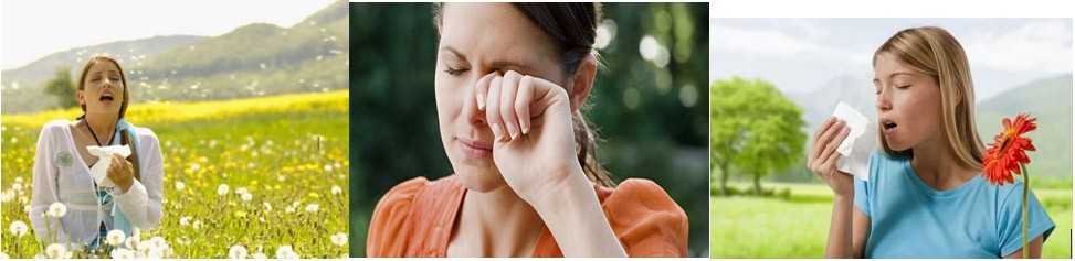 Аллергический ринит: как распознать и успешно вылечить заболевание?