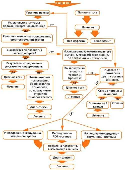 Развитие ребенка по месяцам до года - нормы развития ребенка от 0 до 1 года - agulife.ru