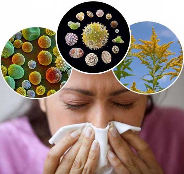 Аллергия на плесень: как распознать и бороться