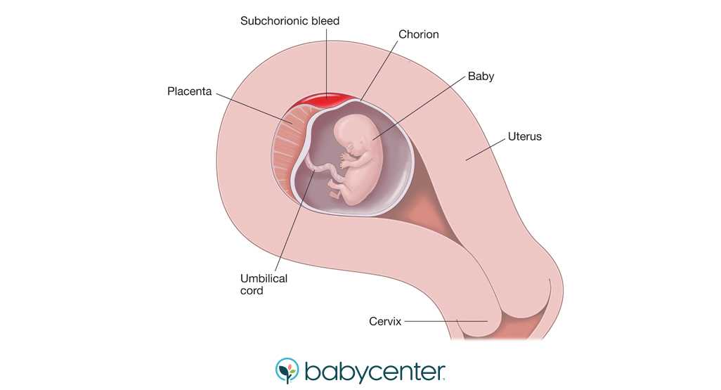 Какие выделения при беременности принято считать нормой, о чем говорит изменение цвета или запаха, почему так происходит. - знай юа