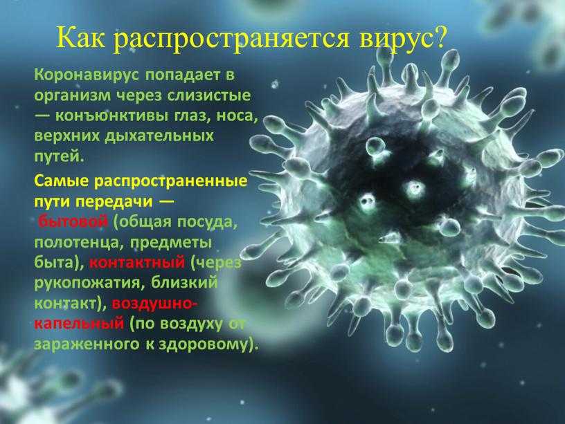 Врач пояснил, может ли заразить других человек с прививкой от covid-19 | коронавирус covid–19: официальная информация о коронавирусе в россии на портале – стопкоронавирус.рф