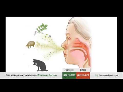 Аллергический кашель. причины, симптомы и лечение аллергического кашля