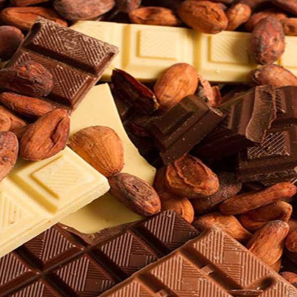 Шоколадный ассортимент. Ассортимент шоколада. Шоколадные изделия. Кондитерские изделия экспорт. Шоколадные продукты.