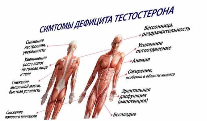Какой витамин д лучший? что говорят эксперты